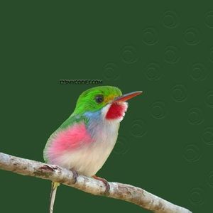 Only Blouse for sale. Note about dresses below